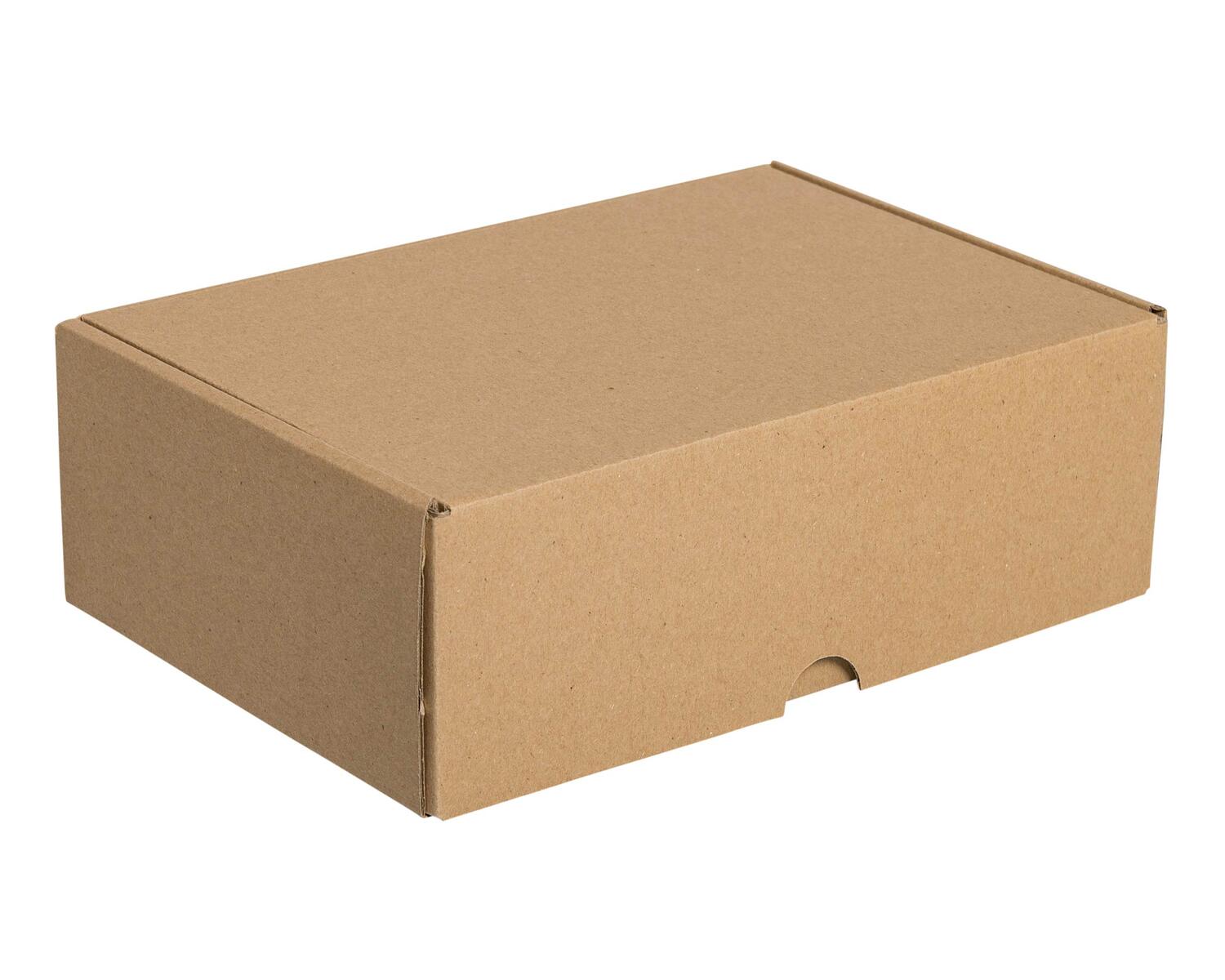 Stlpdeckelkarton DHL-Kleinpaket 241x160x80mm (Auenma) braun wiederverwendbar